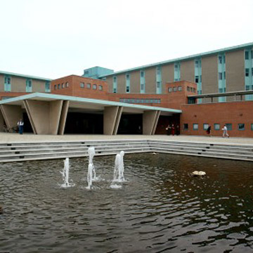 centri-discogel-pavia-irccs-maugeri